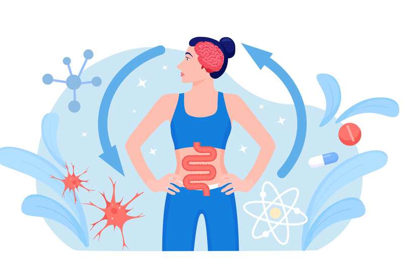Gut Brain Axis | Gbiota